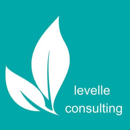  Levelle Consulting